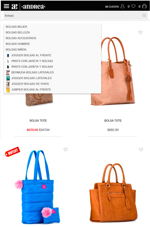 Web Consultant for Andrea