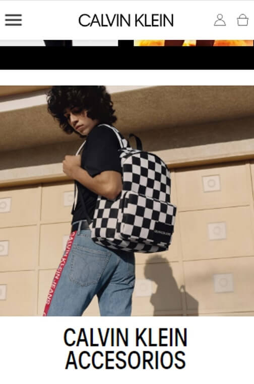 Web Consultant for Calvin Klein