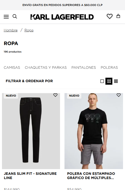 Web Consultant for Karl