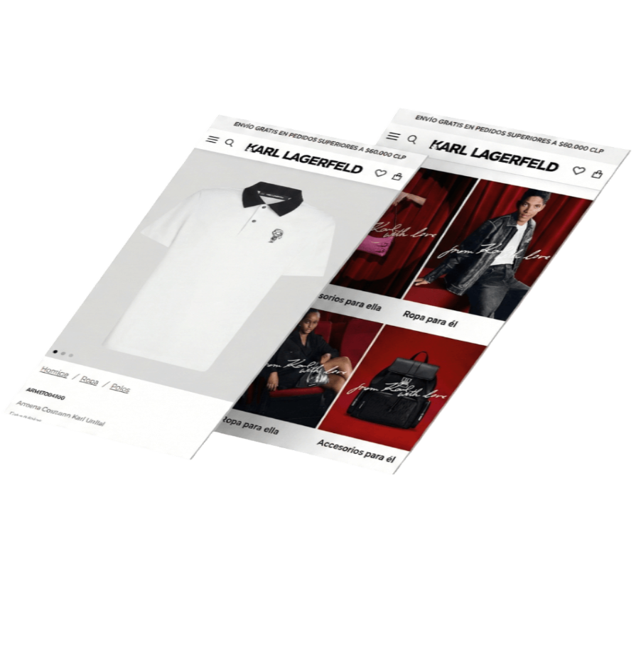 Web Consultant for Karl