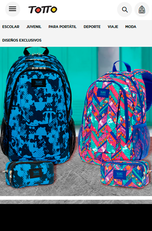 Web Consultant for Totto