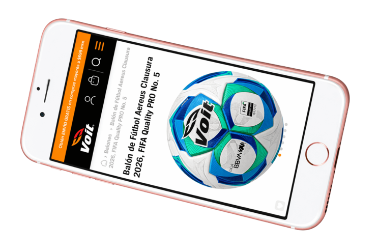 Web Consultant for Voit