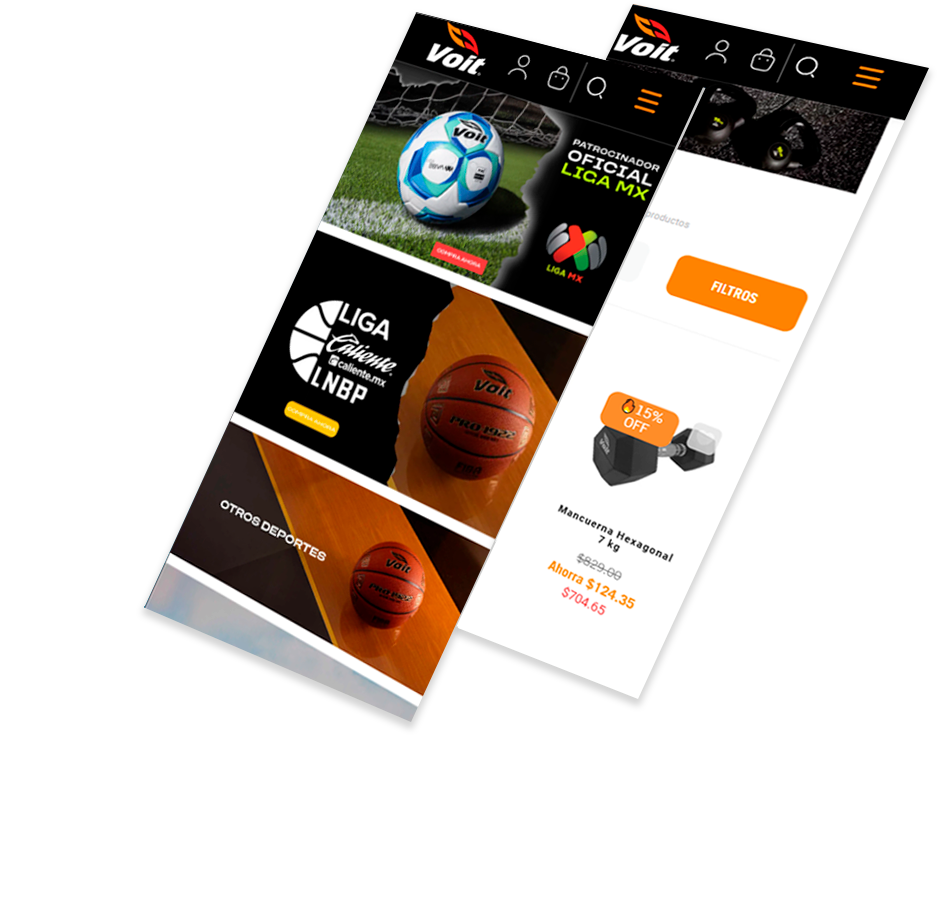 Web Consultant for Voit